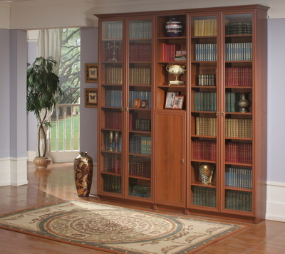 Стеклянные дверцы книжного шкафа - идеальный вариант