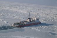 Летом в Азовском море — холера, зимой — почти арктические льды.