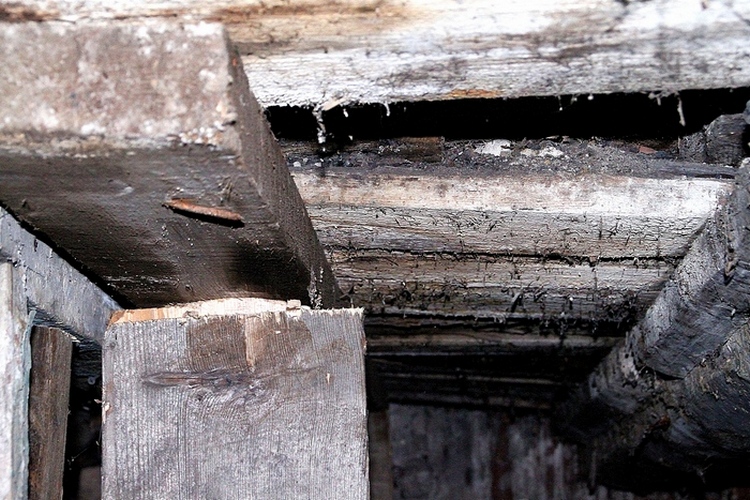 Причина налицо: деревянные межэтажные перекрытия в доме сгнили. В таком состоянии пребывает потолок подвала, он же — пол квартиры на первом этаже.